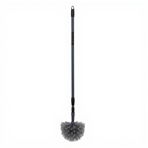 Cobweb Broom