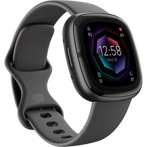 Google Fitbit Sense 2 Shadow Grey Graphite Aluminium