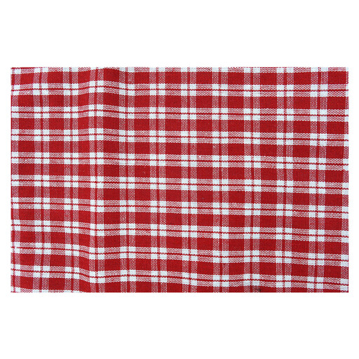 Red and white checkered placemat on a light surface
