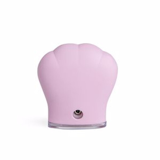 Idc Institute Facial Skin cleansing brush
