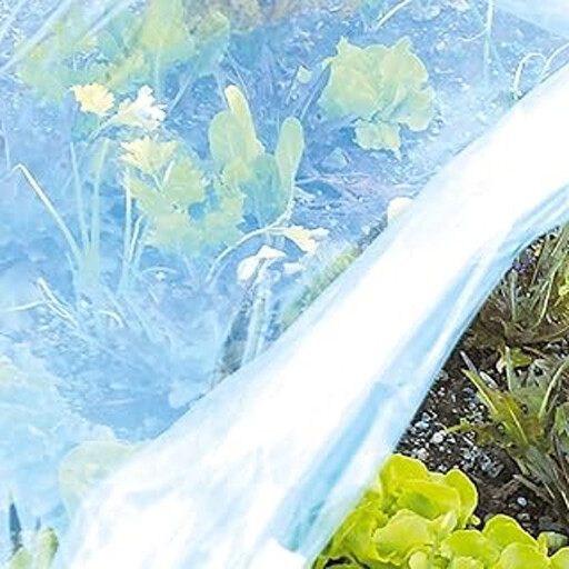 Tenax Coat Film 2x10m Clear Plastic Plant Protection Cover