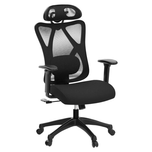 Ergonomic Office Mesh Chair, Adjustable Lumbar Pillow
