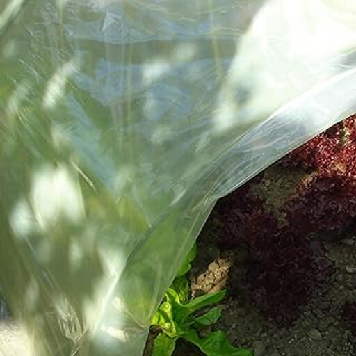 Tenax Sun Film 2x10m Yellow Waterproof Garden Cover