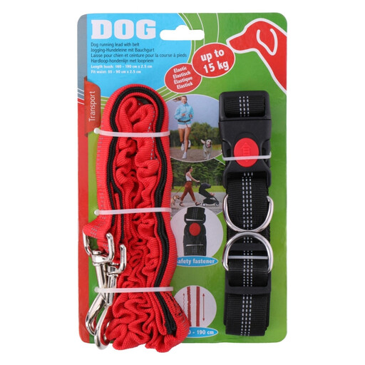 Dog Running Leash with Belt for Dogs up to 15kg