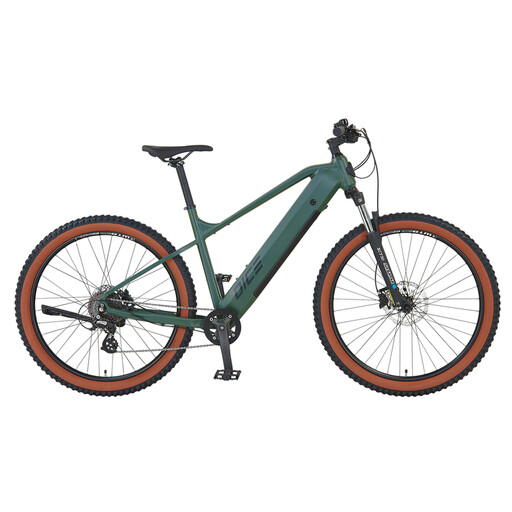 Prophete E-Bike DICE 1.0