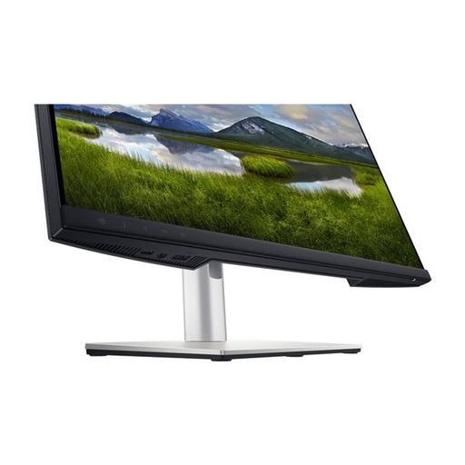 DELL P2424HEB 23.8" Full HD Monitor