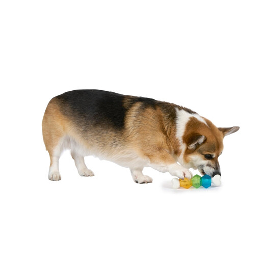TPR Snack Bone Dog Toy