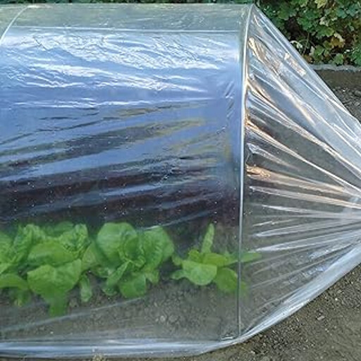 Tenax Dot Film 2x10m Micro-Perforated Greenhouse Film