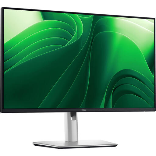 DELL Pro Plus P2425D 24 inch QHD monitor