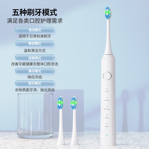 Rushi R-C32 Electric Toothbrush