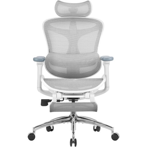 SIHOO Doro C300 Pro Ergonomic Office Chair