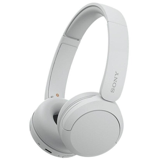 Sony WH-CH520 Wireless Bluetooth Headphones