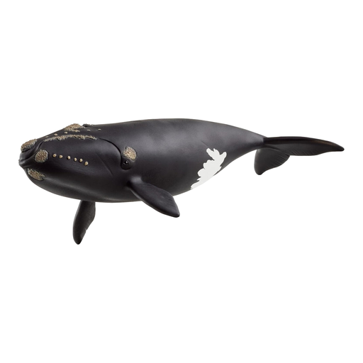 Schleich Wild Life North Atlantic Right Whale Play Figure