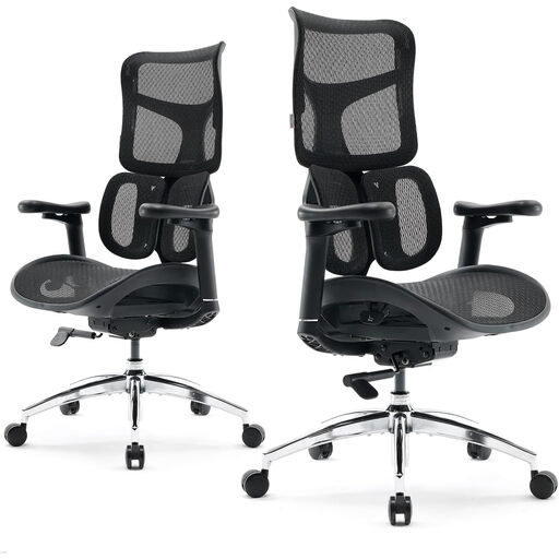 SIHOO Doro S100 Chaise de Bureau Ergonomique - Double Support Lombaire Dynamique, Accoudoirs 4D