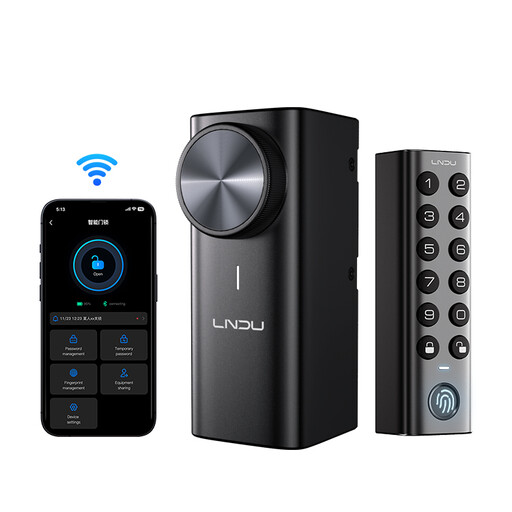LNDU DL500 Smart Locks
