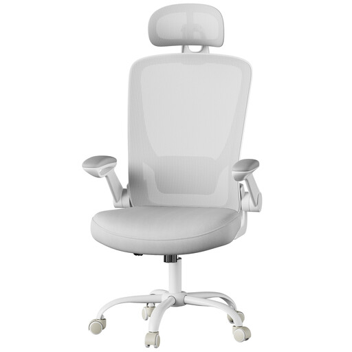 Ochama Home Office Mesh Chair, Ergonomic Swivel Chair with Lumbar and Head Support, Fold-Up Armrests, Tilt Function, Grey