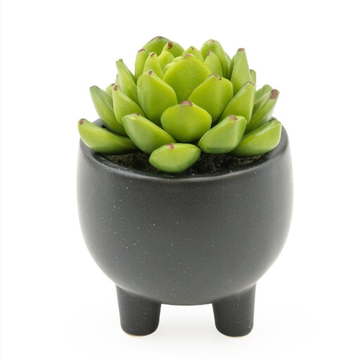 Candlelight Artificial Echeveria Succulent in Ceramic Pot 7.4cm