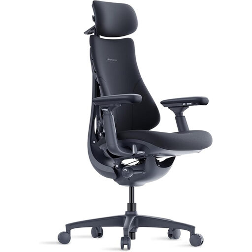 Libernovo Omni Dynamic Ergonomic Chair in Midnight Black