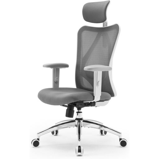 SIHOO M18 Ergonomic Office Chair (Grey)