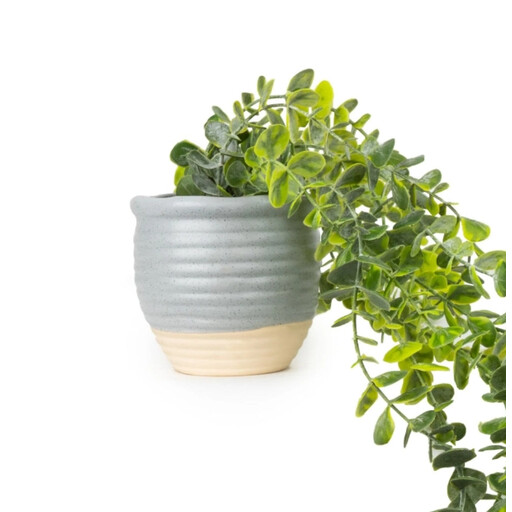 Candlelight Artificial Trailing Succulent in Ceramic Pot 50cm Length