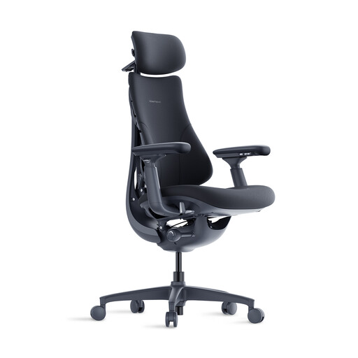 LiberNovo Omni Dynamic Ergonomic Chair in Midnight Black