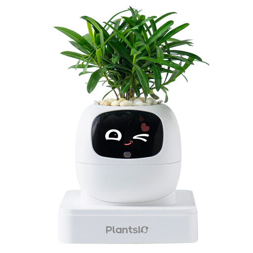 Ivy AI smarter Blumentopf Roboter (Elfenbeinwei?)