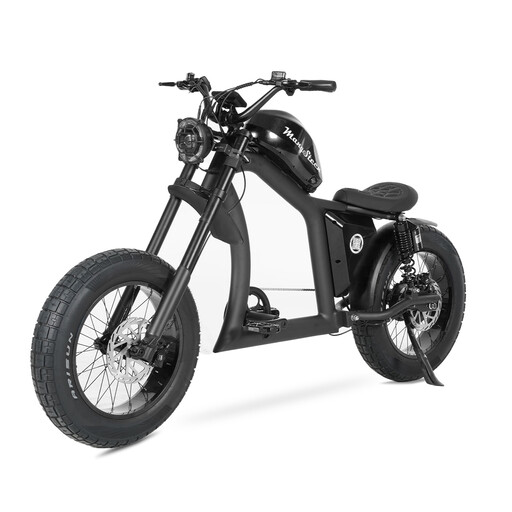 Mangosteen FT02 E-Bike in het zwart
