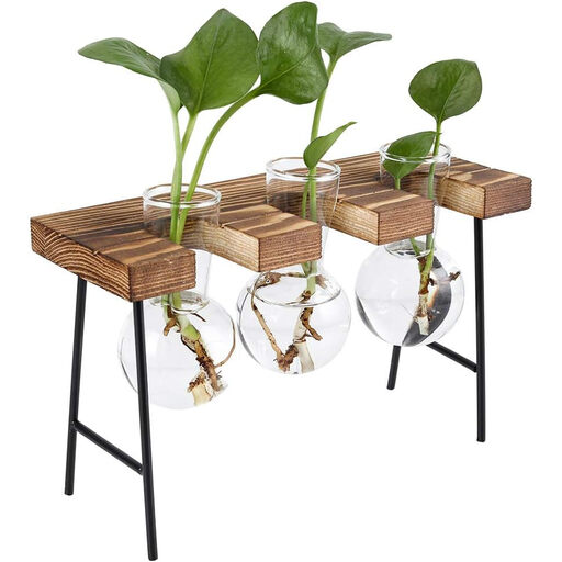 Senhoglb air plant holder