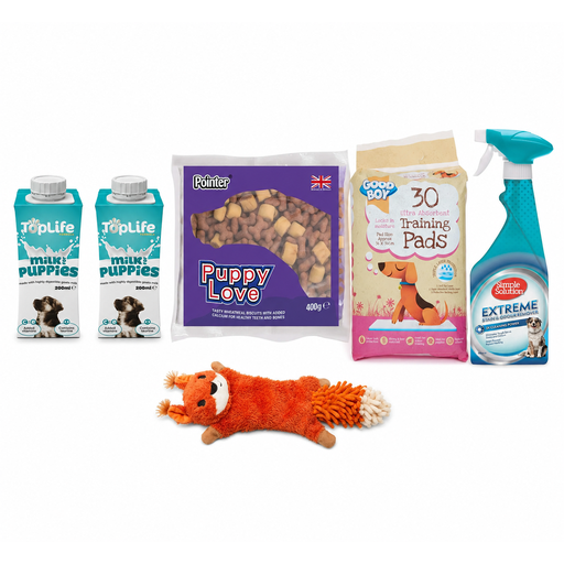 Welcome Home Puppy Bundle