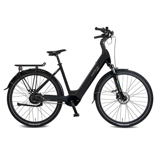Rabeneick Comfort E-Bike Wave 51