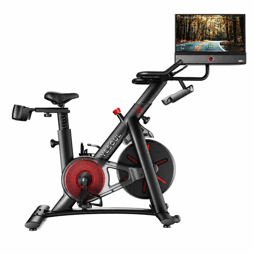 YESOUL G1M MAX smart indoor cycling bike