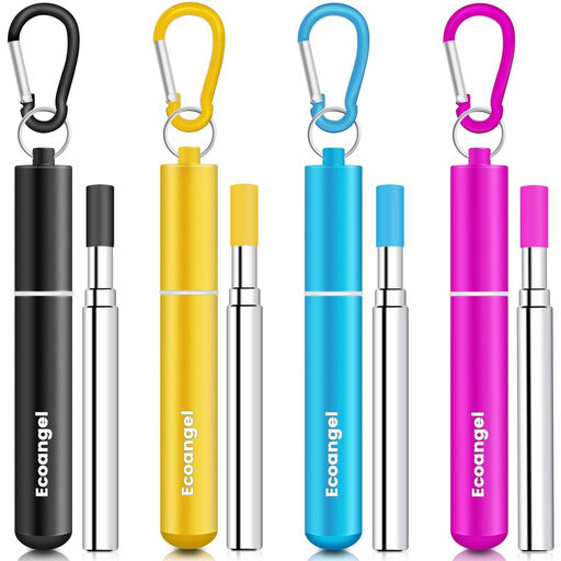 M&Co Set of 4 Collapsible Reusable Straws