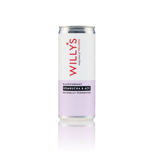 Willy's Kombucha and Apple Cider Vinegar Blackcurrant Flavour - 250 ml