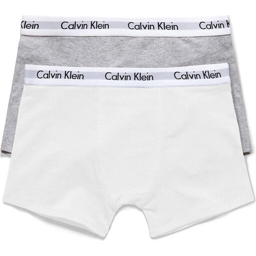 Calvin Klein 2-Pack Boys Briefs