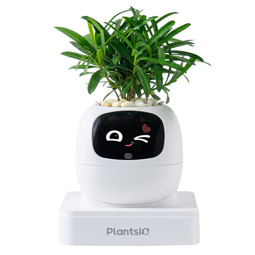 Pot de fleur intelligent avec expressions faciales