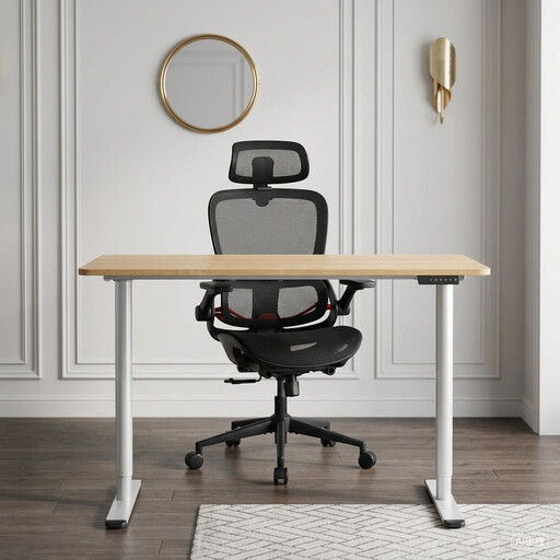Sihoo B100 Ultra Ergonomic Office Chair + Loctek Ergonomic Standing Seat Stand Desk