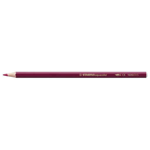 STABILO Aquacolor - Aquarellable Colouring Pencil - ARTY - Pack of 24