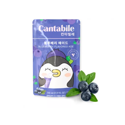 CTB Blueberry Ade 230ml