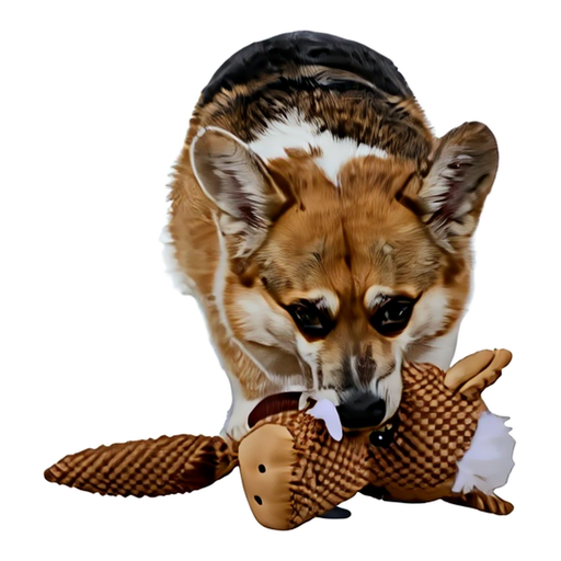 Dog toy Animal 2AS Incl Tennis