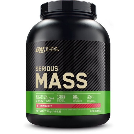 Optimum Nutrition Serious Mass