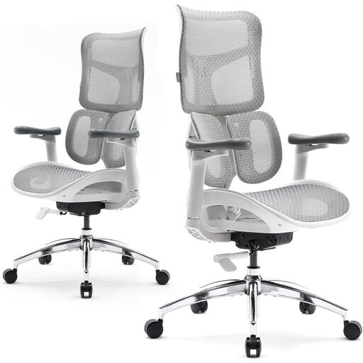 SIHOO Doro S100 Ergonomic Office Chair
