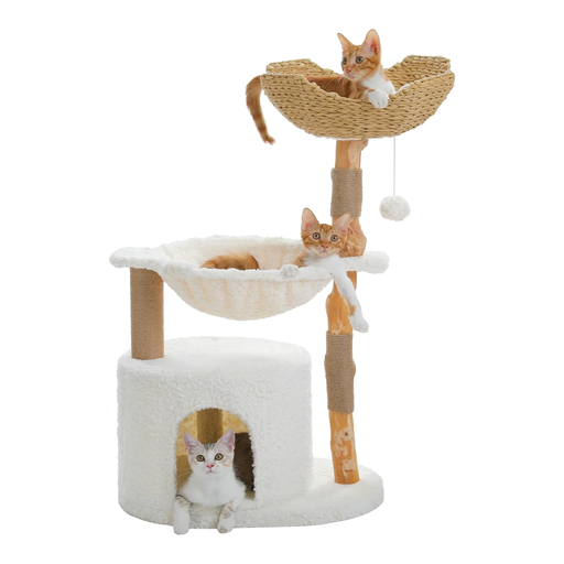 XXL号猫爬架选购指南：3招避开陷阱，为大猫选对乐园