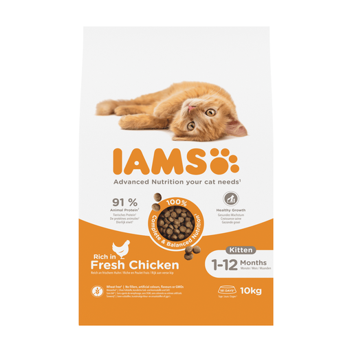 Iams cat kitten/junior chicken 10kg