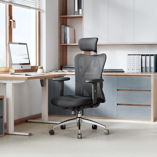SIHOO Ergonomic High-Back Executive Swivel Chair