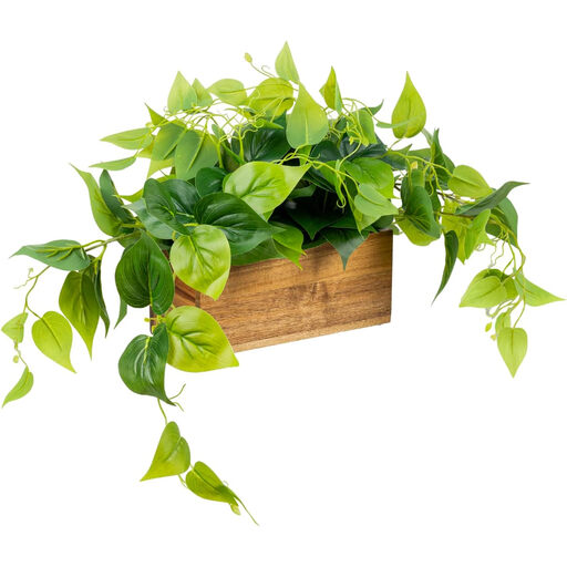 MyGift Artificial Pothos in a Wooden Box