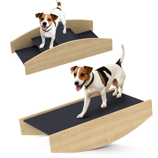 Balançoire d’agilité et escalier réversible 2-en-1 pour chien