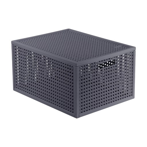 Curver Kaya Storage Basket - 20L