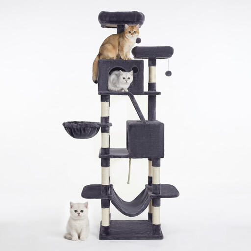 Grande tour pour chats JOYFURNOS 206 cm
