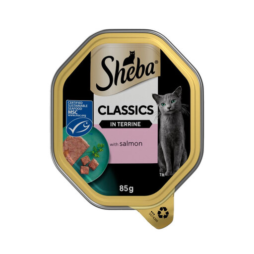 Sheba Classics Wet Cat Food Tray Salmon in Terrine