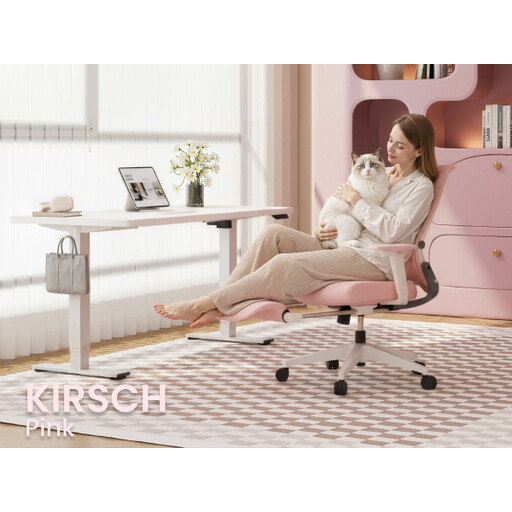 FLEXISPOT Ergonomic Office Chair, Foldex